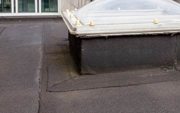 disadvantages of Euston flat roofs