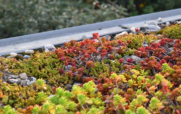 the cost of Euston green roof installation