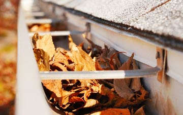 Euston gutter cleaning companies
