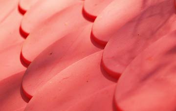 Euston plastic roof costs